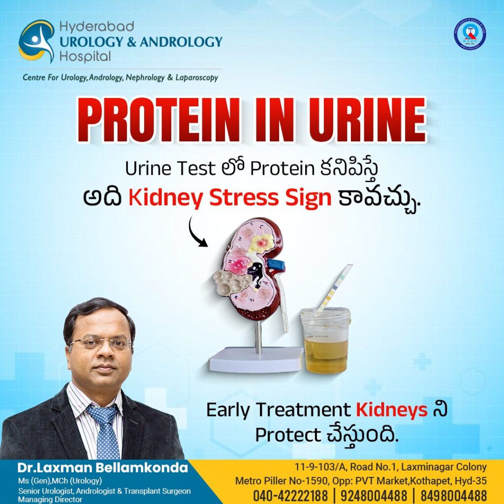 యూరిన్ లో ప్రోటీన్ కనిపిస్తోందా మీ కిడ్నీ ప్రమాదంలో ఉన్నట్టే! kidney stress symptomswelcome to